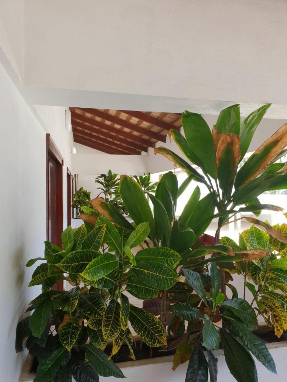 Oasi Encantada - Beach Resort Barahona Luaran gambar