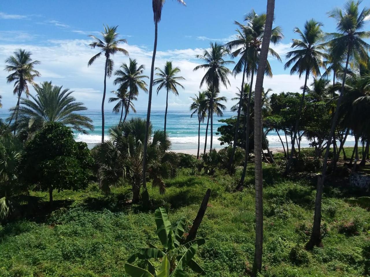 Oasi Encantada - Beach Resort Barahona Luaran gambar